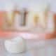 ما هي أبرز مكونات الأسنان وأجزاؤها وتركيبتها؟
